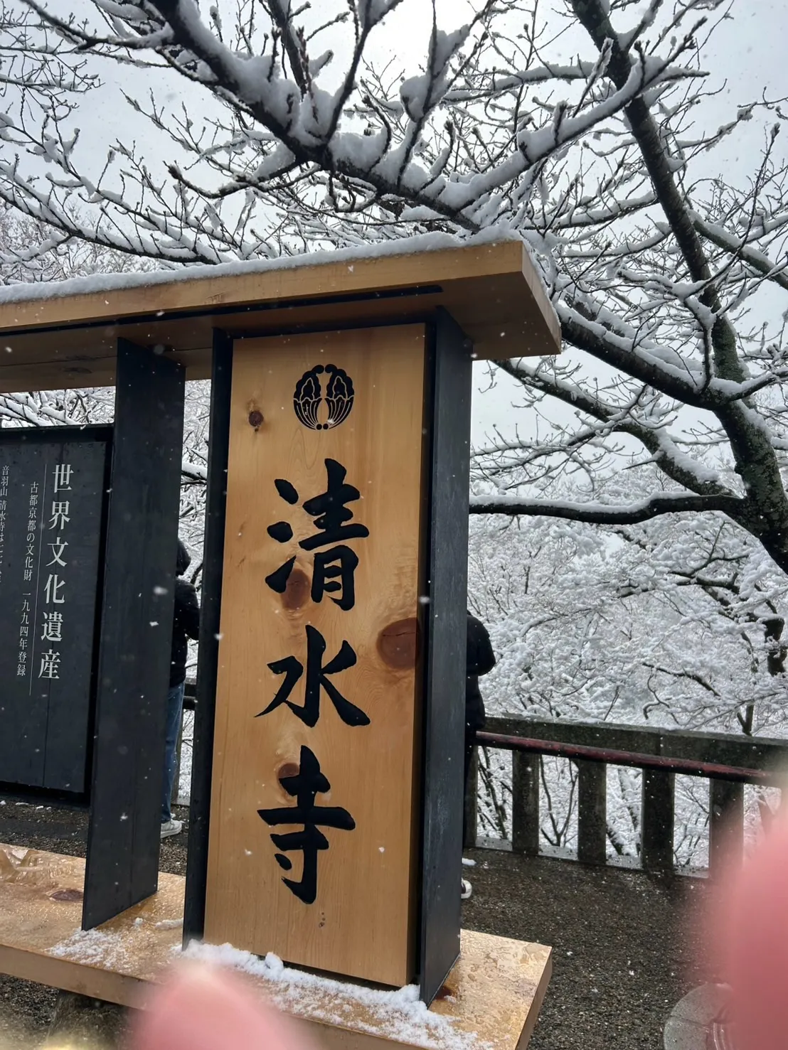 凄い雪☃️